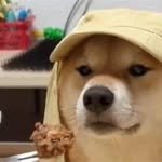 wordohmouth's profile picture. 