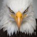 🦋🇺🇸Mia Lynne🦋🇺🇸 (@mialynne123) Twitter profile photo 🦋🇺🇸Mia Lynne🦋🇺🇸 (@mialynne123) Twitter profile photo