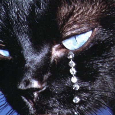 jones110605's profile picture. “I’m not going to bite my tongue. I’m not going to say I’m sorry for being a woman with a voice.”   - The Queen of Rap 💕👑