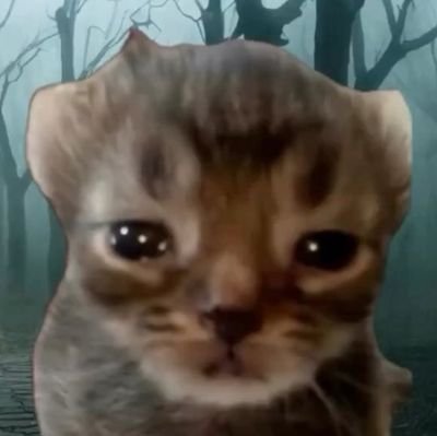| 18+ | artist | she/her | some 🔞 content | I yap a lot | I post my WIPs in here | plis dun find this acc...