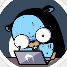 rsobc318's profile picture. Java developer. Learning Go and AWS. Weeb.