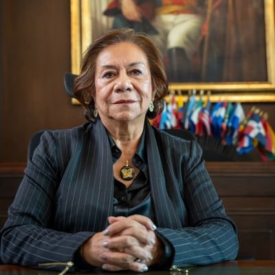 Economista,Máster en Migraciones y Relaciones Intercomunitarias.
Autora del libro Una sudaca en el Parlamento.
Coordinadora G.T.I de la Cancillería de Colombia
