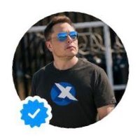 Musk (@musk63105) 's Twitter Profile