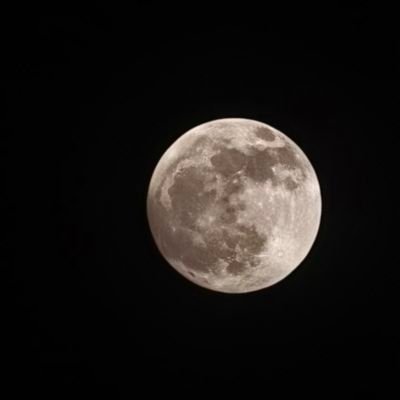 Yartguru's profile picture. simple