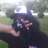 xxfuneraI's profile picture. 
