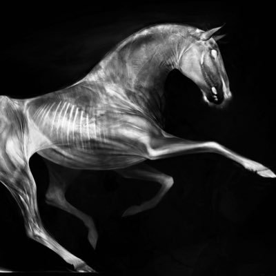\22\ BLK STRAIGHT MALE (🚫NO MINORS/🔞adult content) 10 inch 🐎🍆 𝒯𝒽𝑒 𝐿𝑜𝓃𝑔 𝒮𝓉𝓇𝑜𝒶𝓀 𝑀𝒶𝓈𝓉𝑒𝓇 🏊🏼 ||OF otw|| (dm for menu)📥