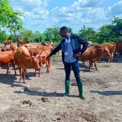 Médecin Vétérinaire DMV, Msc
Socio-économiste de la Santé Animale
Épidémiologiste.