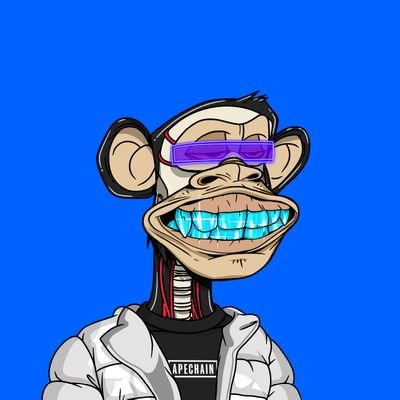Cyber-Orca Profile