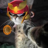 pecooo! (@pecogrrr_) 's Twitter Profile