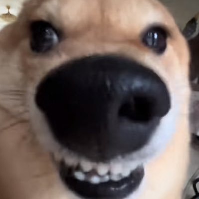 てぃんさんのプロフィール画像