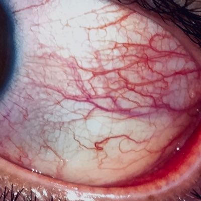 sigabigule's profile picture. body sculptures • painting • digital sculptures