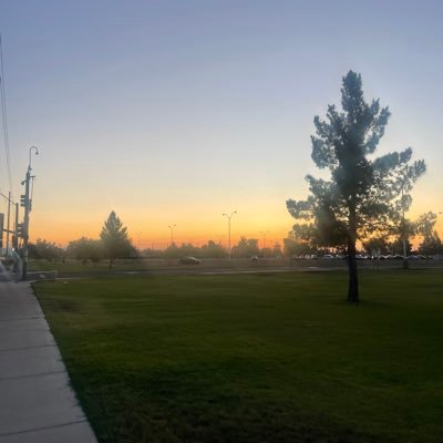 g5medev's profile picture. game developer unity