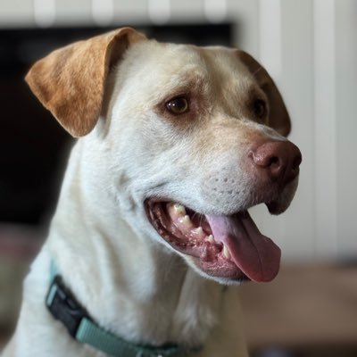 UsNavalDood's profile picture. 