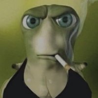 gergo (@gergoyum) 's Twitter Profile Photo