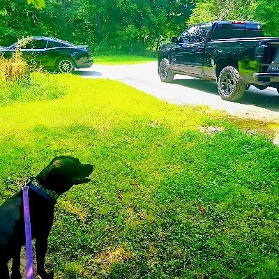 Not here,maybe just up the road a piece.
Exmil.Truck driver.Landscape & pet pics are mine.Sigma.Old soul. INFJ
Thanks for stopping by.
TikTok = windowlckr