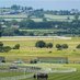 Irish Racing Info (@theirishhorse) Twitter profile photo Irish Racing Info (@theirishhorse) Twitter profile photo