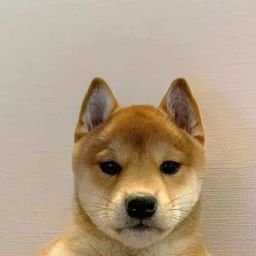 https://t.co/Czv5FVzRUu
I make trenche community with my friend ✌️ ( French can join 😁)