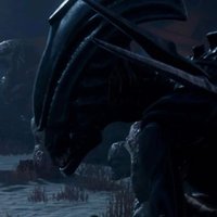 Xenomorph Queen (@xenokittydbd) 's Twitter Profile
