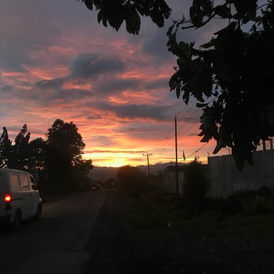 GraceSinti53278's profile picture. 
