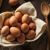 Eggs (@kek_u_said_eggs) 's Twitter Profile