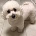 Kenzie Segal (@kenzie_segal) Twitter profile photo Kenzie Segal (@kenzie_segal) Twitter profile photo