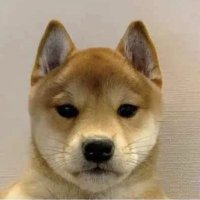 boogyman (@cryptoboogy23) 's Twitter Profile Photo boogyman (@cryptoboogy23) 's Twitter Profile Photo