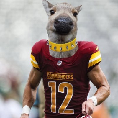 Recovering College Basketball addict ~ Luke McCaffrey Believer ~ Mediocre Comedian ~ Deer Are Friends Not Food ~ #RaiseHail #ALLCAPS #GoHoos #GoHPU #SimpNation