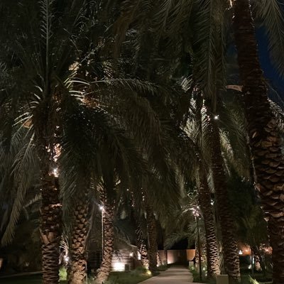 مُسيّرة فيما أنا فيه مُخيّرة| أخصائية علاج طبيعي قيد التكوين