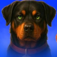 BLAZE (@blazedogbase) 's Twitter Profile