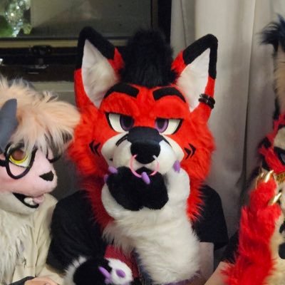 Holi soy un folf con 22 años | friendly | 🇦🇷&🇺🇸 | Single | Autos | YouTuber | feel free for dm | sumemos amigoos ig: @donco04 @koshkafursuits suiter