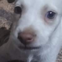 ๐๐พ๐ช๐๐ฒ๐ฒ๐น (@shut_ittdumbass) 's Twitter Profile Photo ๐๐พ๐ช๐๐ฒ๐ฒ๐น (@shut_ittdumbass) 's Twitter Profile Photo