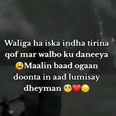 Dadkoo dhan, waLaaL baan la ahay, Se, ciddii aan is La'eeg nahay ayuun baan is raaci kaRnaa
😁😁😁😁😁😁😁😁😁😁😂😂😂😂😅🙏❗