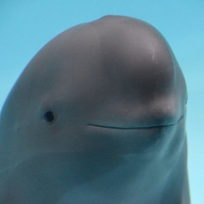 Nanoboostd's profile picture. he/him 26 TAKE US THERE 5