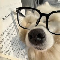 Wagly (@waglyvibes) 's Twitter Profile