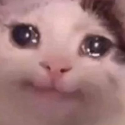 fettuccinaraggi's profile picture. 