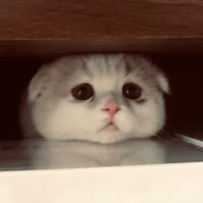 waiting_ppen's profile picture. love is love