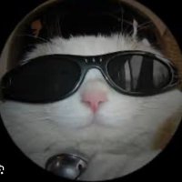 Jarvo07 (@louie60140307) 's Twitter Profile Photo Jarvo07 (@louie60140307) 's Twitter Profile Photo