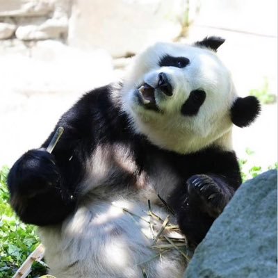 rlatjstnr031946's profile picture. 