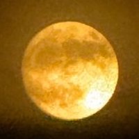 DrO (@benmarblesx) 's Twitter Profile