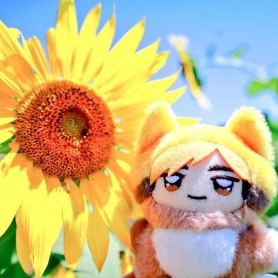 30↑/関東/無言フォロー失礼します/チプデとドナ好き/HQ🦊好き/シャッター押すだけなのでカメラ知識、技術0🔰!!
●現像出来ないので撮ったデータはほぼそのまま送るのでお好きなように👋撮らせてもらえるだけで感謝です!!