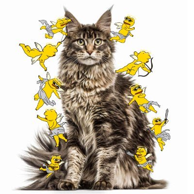 HinneLe9244's profile picture. Lê Huy