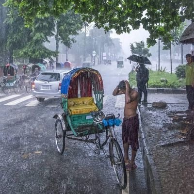 mohammed_n76056's profile picture. 