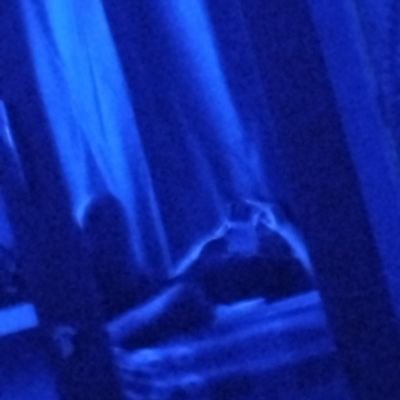 Ch_1869's profile picture. Síganme p