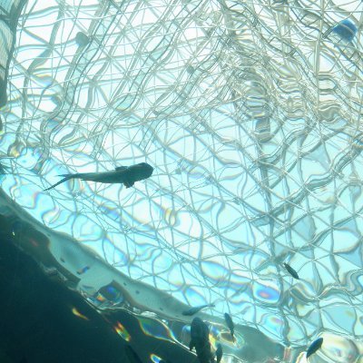 hartung_cs's profile picture. Started #RecursionCS on 2025/07/28
Started #Omarchy on 2025/09/21
Started #NeoVim on 2025/09/21