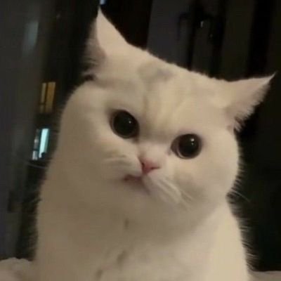 NLG04L's profile picture. 