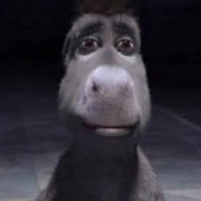 nett1ess's profile picture. 