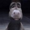 nett1ess's profile picture. 