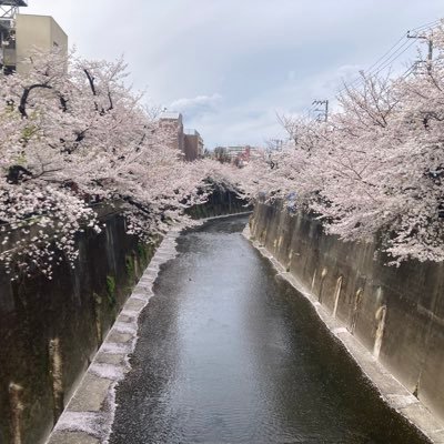 nakagawahiro3's profile picture. ただの社畜です。