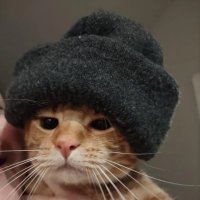lustonsol (@lustychadonsol) 's Twitter Profile Photo lustonsol (@lustychadonsol) 's Twitter Profile Photo