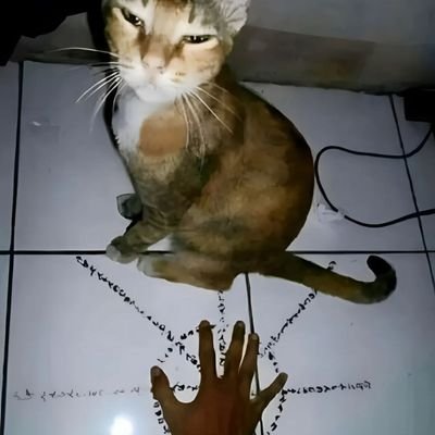 DesireSanctuary's profile picture. No future.